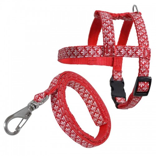 PEIT COM GUIA LISA - AZ - TAM. VARIADOS