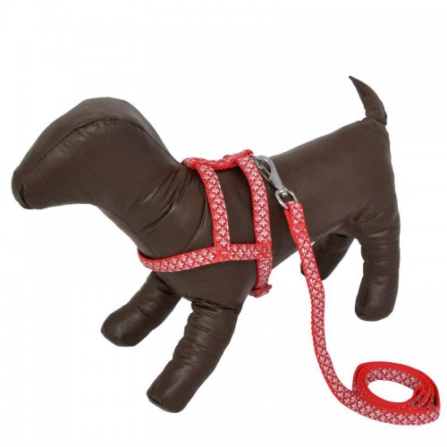 PEIT COM GUIA LISA - AZ - TAM. VARIADOS