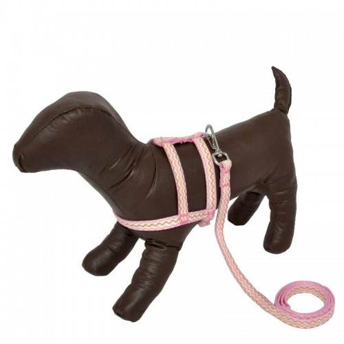 PEIT COM GUIA LISA - AZ - TAM. VARIADOS