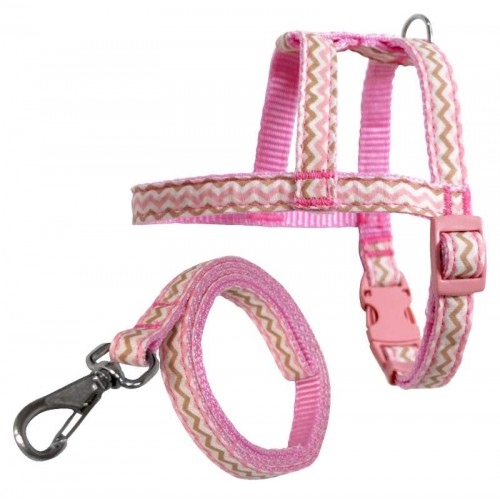 PEIT COM GUIA LISA - AZ - TAM. VARIADOS