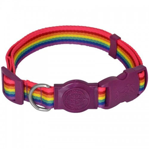 COLEIRA COLORS M 37-53X2 CM