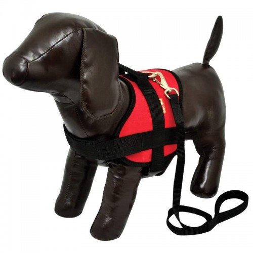 PEITORAL E GUIA TRITON 