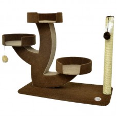 1916-31 - ARRANHADOR CEREUS 