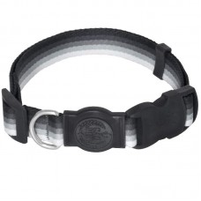 COLEIRA DEGRADE G CZ 45-70X2,5 CM