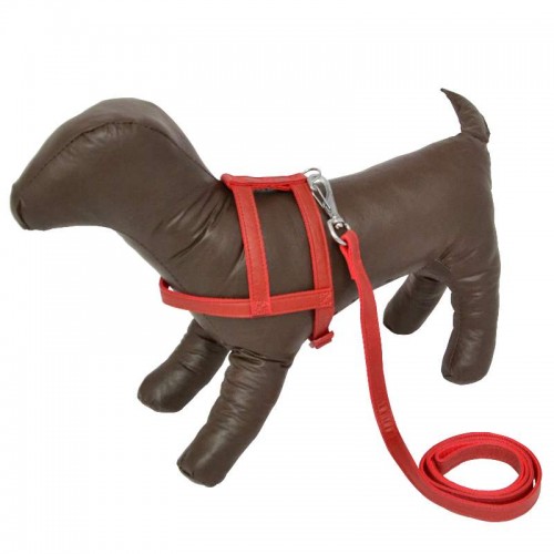 PEITORAL GUIA REF - 38-45X1,5 cm