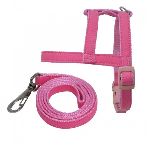 PEIT COM GUIA LISA - RS - TAM. VARIADOS