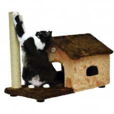 1886-31 - ARRANHADOR FIT HOUSE 