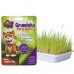 GRAMINHA GATOS 50GR 