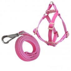 PEIT REG E GUIA RS N1 31-47X1,5X0,2CM