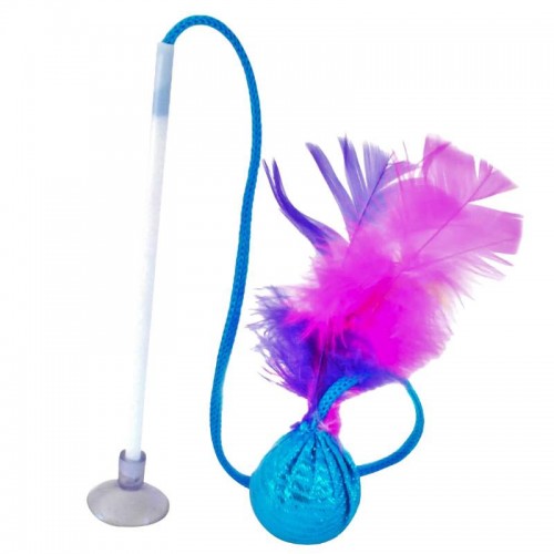 BOLA C/VARINHA VENTOSA