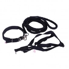 KIT COLEIRA, PEIT. E GUIA GG PT