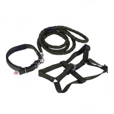 KIT COLEIRA, PEIT. E GUIA GG VD/PT