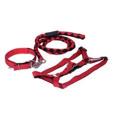 29163 - KIT COLEIRA, PEIT. E GUIA M VM/PT