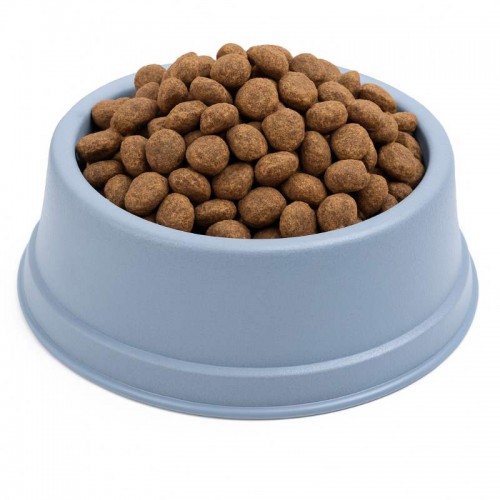 CO FILHOTE - AZUL - TAM. VARIADOS