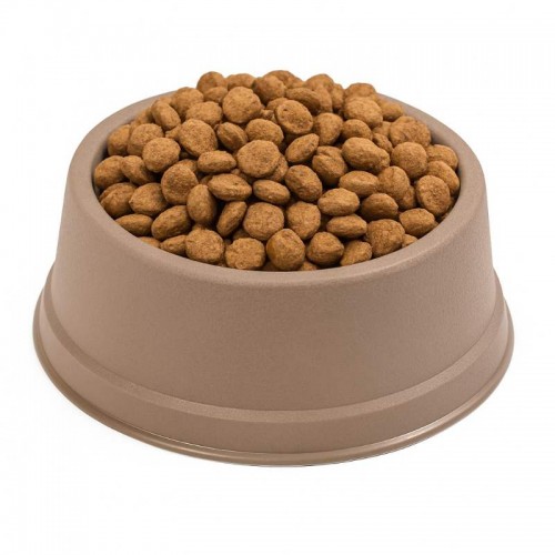 CO FILHOTE - FENDI - TAM. VARIADOS