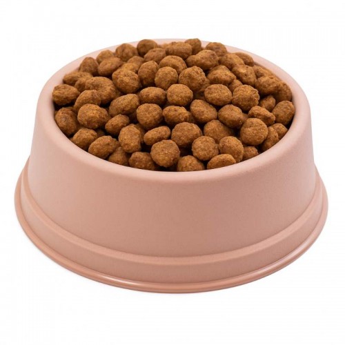 CO FILHOTE - ROSE - TAM. VARIADOS