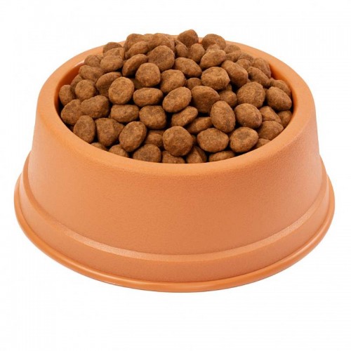 CO FILHOTE - TERRACOTA - TAM. VARIADOS