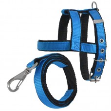 PEIT/GUIA CAD DUPL N4 AZ 53-61X3X0,3CM