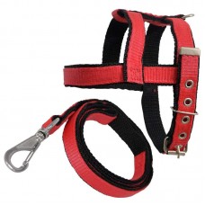 PEIT/GUIA CAD DUPL N4 VM 53-61X3X0,3CM