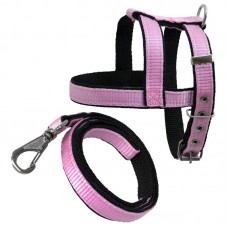 PEIT/GUIA CAD DUPL N4 RS 53-61X3X0,3CM