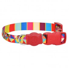 COLEIRA SAO PET FREVO 40-65X2,5CM