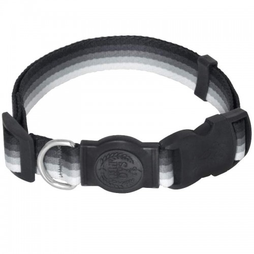 COLEIRA DEGRADE - AZ - TAM. VARIADOS