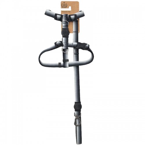 KIT PEITORAL H E GUIA DEGRADE - AZ 