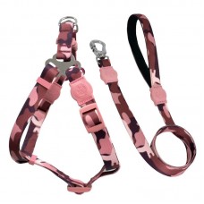 PEIT. E GUIA  SELVA G - RS -60-90X2,5 CM