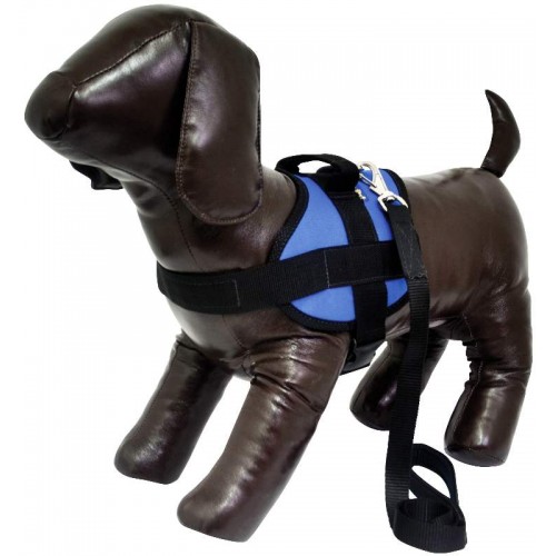 PEITORAL E GUIA TRITON 