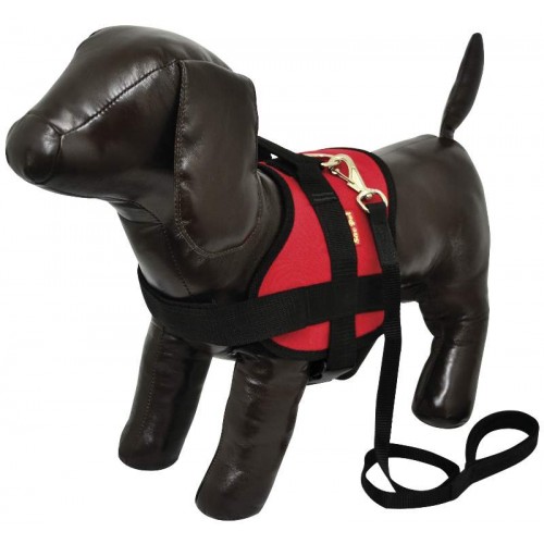 PEIT/GUIA TRITON N1 VM 8X35X41-54 CM