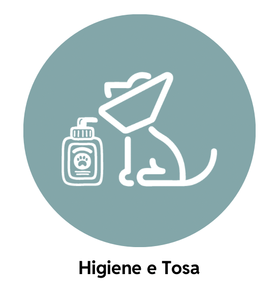 Higiene e Tosa